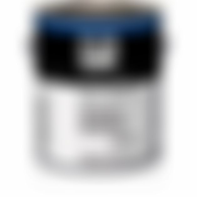 PPG PITT-TECH 90-474/01 DTM Industrial Enamel White Satin 1 gal - Buy ...