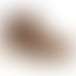 470890.jpg